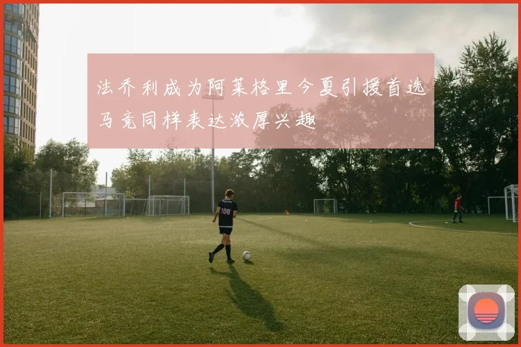 法乔利成为阿莱格里今夏引援首选马竞同样表达浓厚兴趣